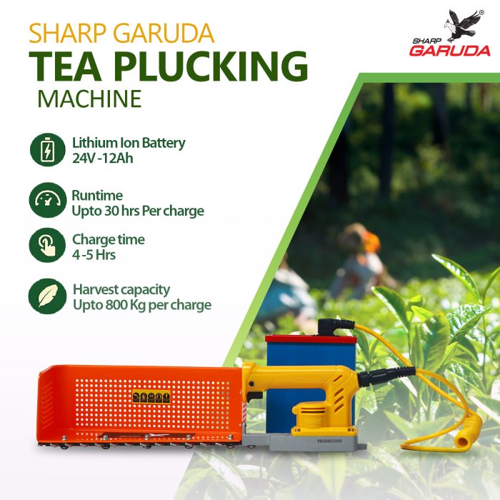 1 1